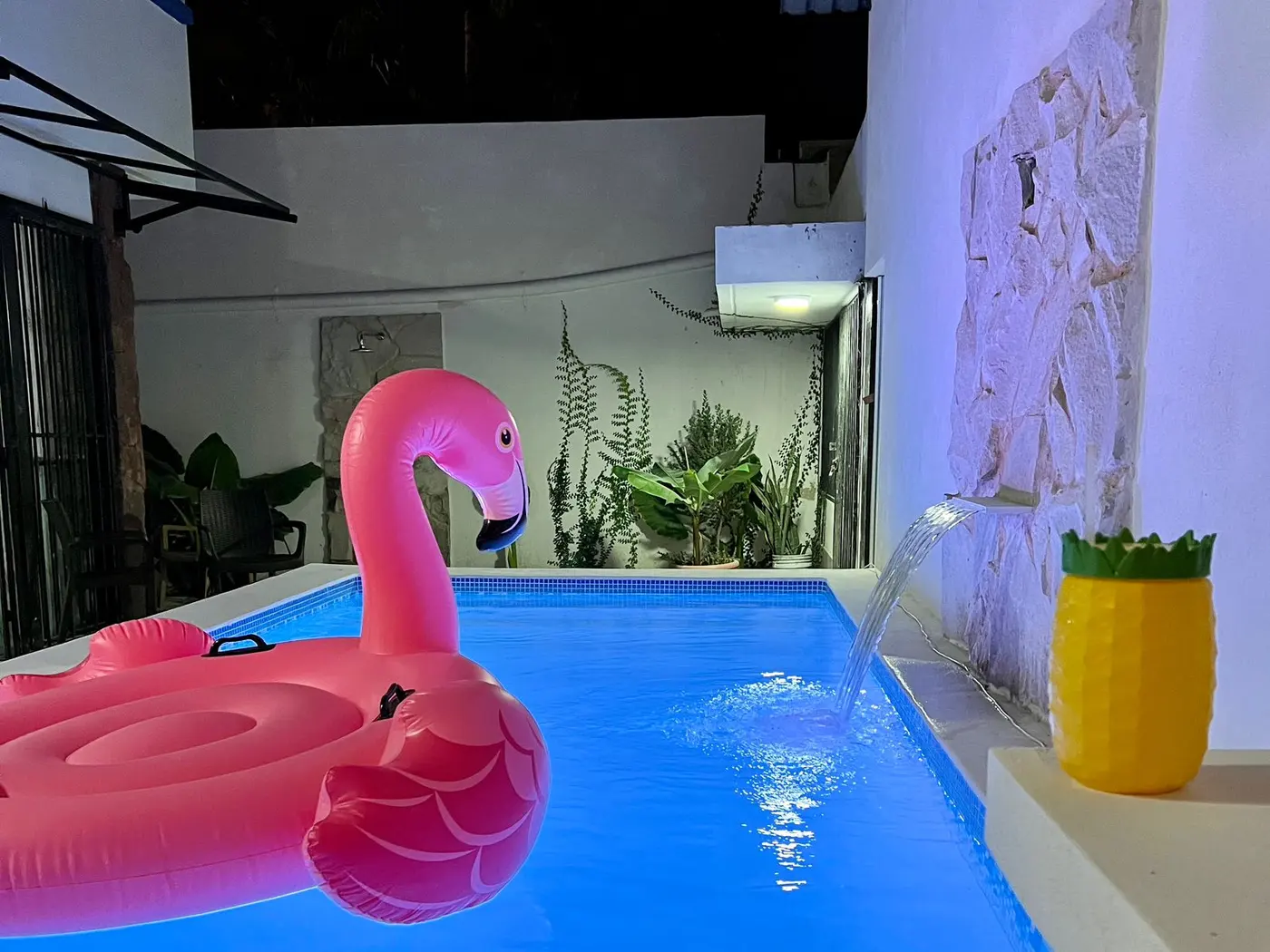 Proyecto con piscina X-Pools serie Miami Beach